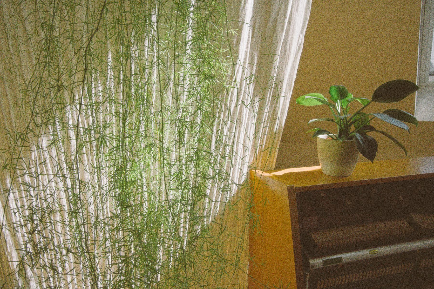 A corner of the studio, morning light